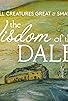 Primary photo for All Creatures Great & Small: The Wisdom of the Dales Primary photo for All Creatures Great & Small: The Wisdom of the Dales
