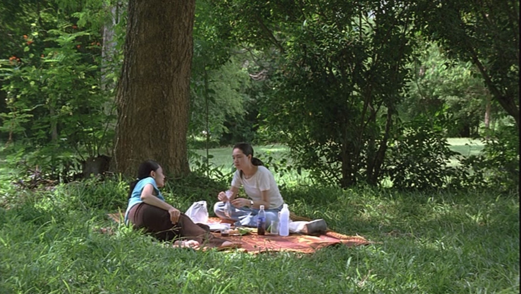 Syndromes and a Century (2006)