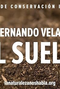 Primary photo for El Suelo