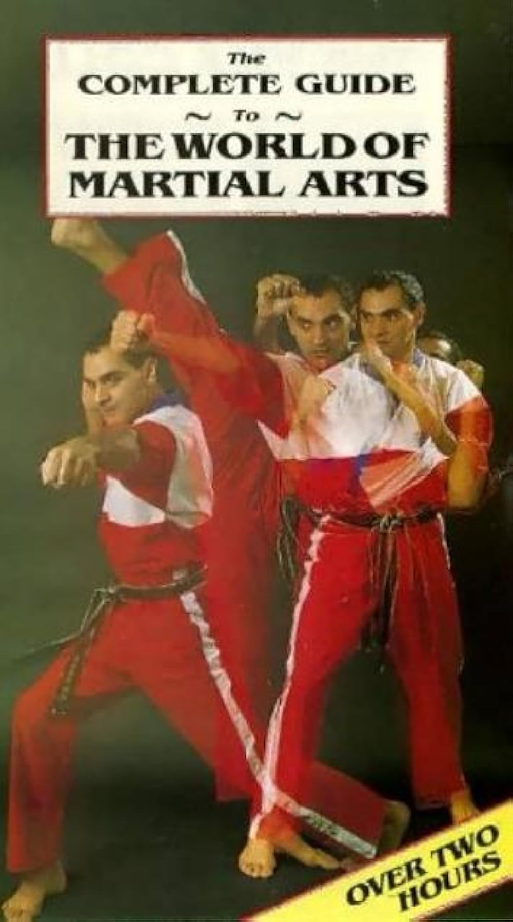 The World of Martial Arts (Video 2004) - IMDb