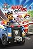Primary photo for Paw Patrol: Grand Prix Primary photo for Paw Patrol: Grand Prix