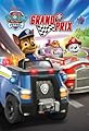 Paw Patrol: Grand Prix's primary photo