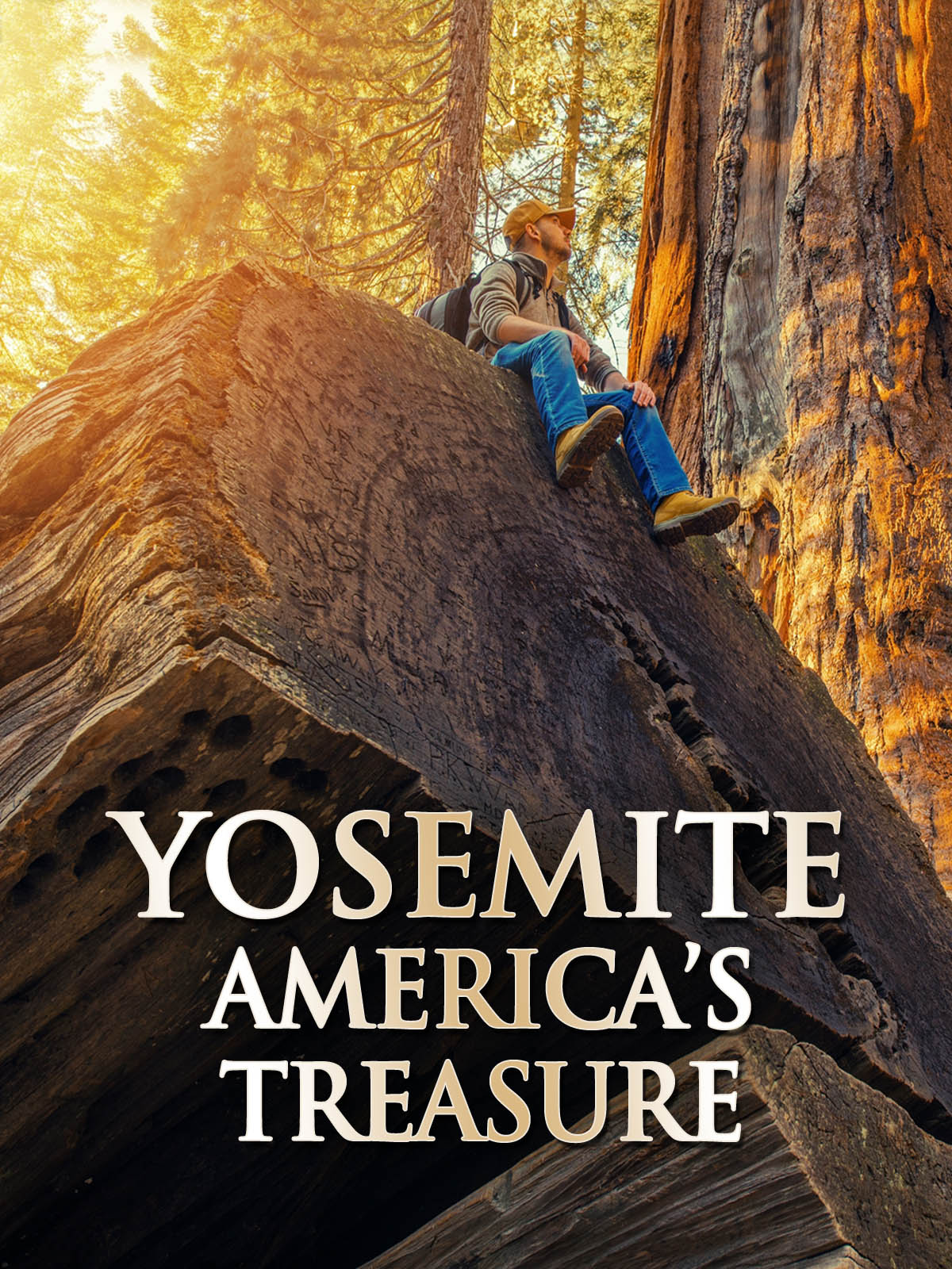 Yosemite: America's Treasure (2020) - IMDb