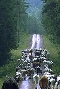 Primary photo for Way of Nature