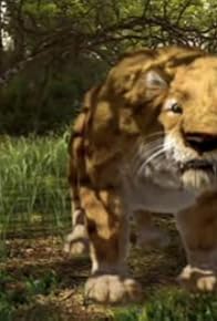 Primary photo for The Sabre Tooth Cat Primary photo for The Sabre Tooth Cat