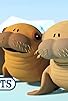 Primary photo for Octonauts and the Walrus Pups Primary photo for Octonauts and the Walrus Pups
