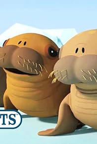 Primary photo for Octonauts and the Walrus Pups Primary photo for Octonauts and the Walrus Pups