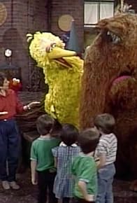 Primary photo for Snuffy finally meets Big Bird's friends