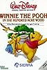 Primary photo for Winnie the Pooh in the Hundred Acre Wood Primary photo for Winnie the Pooh in the Hundred Acre Wood