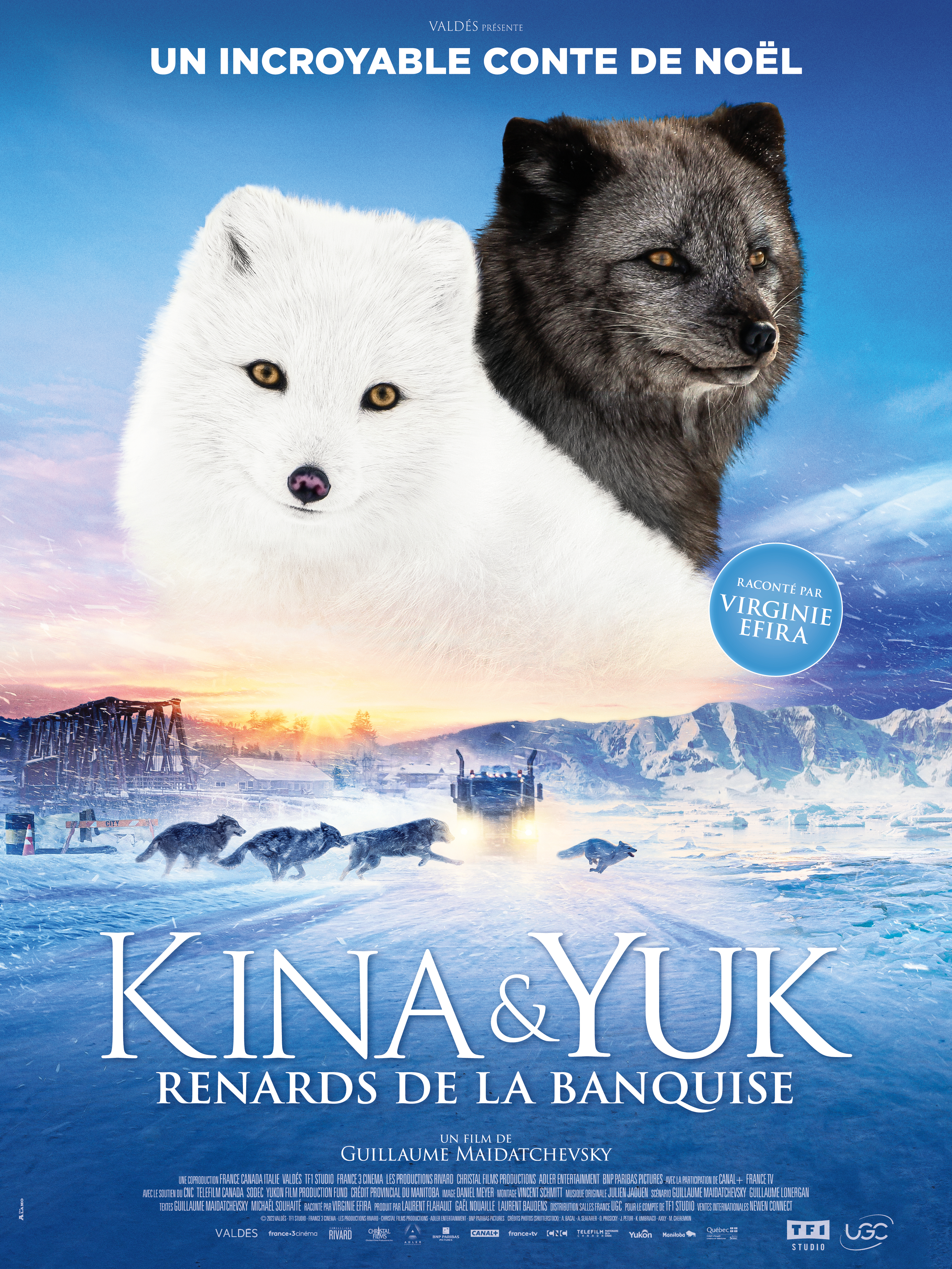 Poster of Kina et Yuk, renards de la banquise