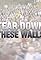 Tear Down These Walls's primary photo
