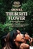 Primary photo for The Buriti Flower Primary photo for The Buriti Flower