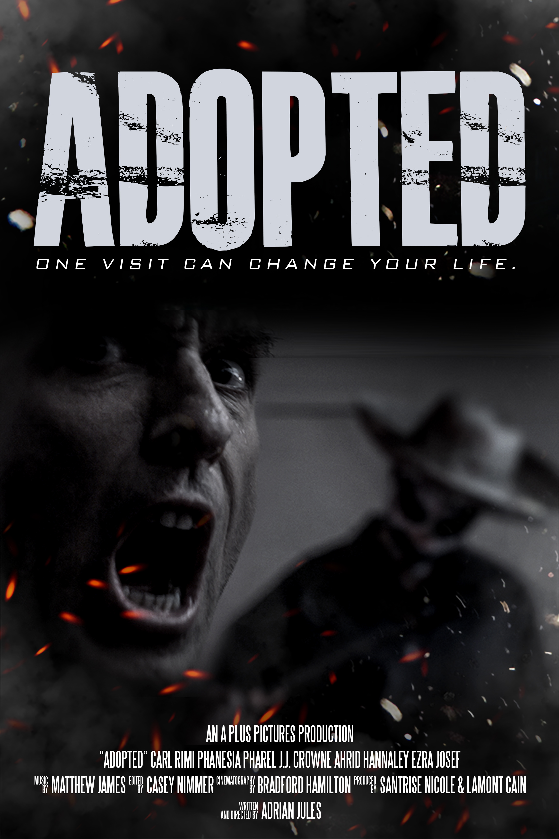 Poster of Adopted
