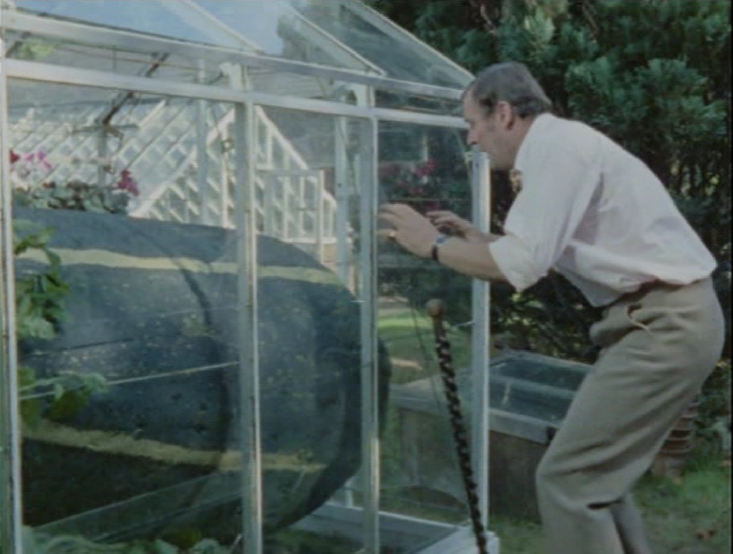 Moray Watson in Catweazle (1970)