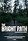 The Bright Path's primary photo