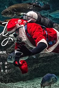 Primary photo for Building a Custom Fish Prompt