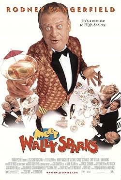 Poster of Meet Wally Sparks