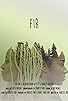 Primary photo for Fir