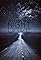 Night Drive's primary photo