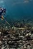 Primary photo for Diving While Black