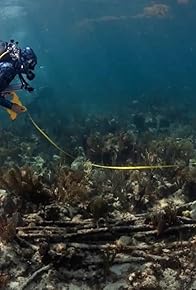 Primary photo for Diving While Black
