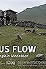 Primary photo for Let Us Flow