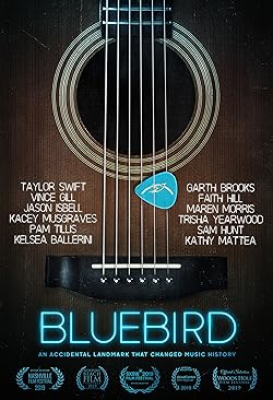 Poster of Bluebird