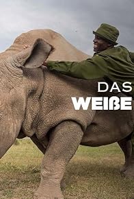 Primary photo for Kifaru