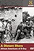 Primary photo for A Distant Shore: African Americans of D-Day