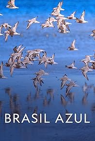 Primary photo for Brasil Azul