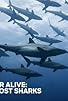 Primary photo for Extinct or Alive: Land of the Lost Sharks Primary photo for Extinct or Alive: Land of the Lost Sharks