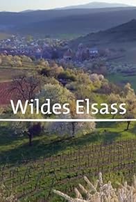 Primary photo for Wildes Elsass