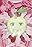 Kyary Pamyu Pamyu: Mottai Night Land