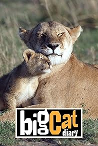 Primary photo for Big Cat Diary