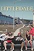 Primary photo for Littledale