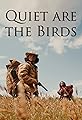 Quiet are the Birds's primary photo