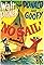 No Sail's primary photo