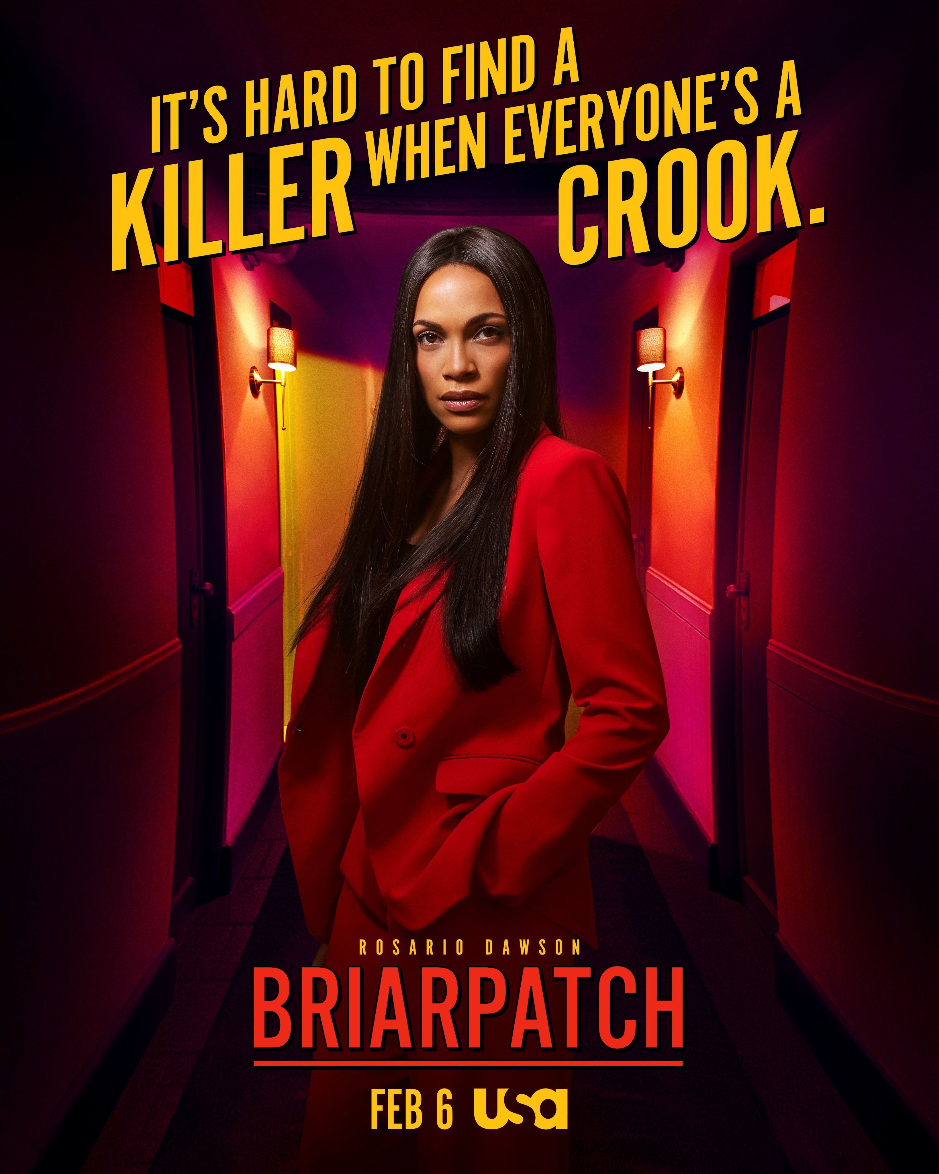 Poster of Briarpatch