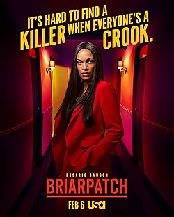 Poster of Briarpatch