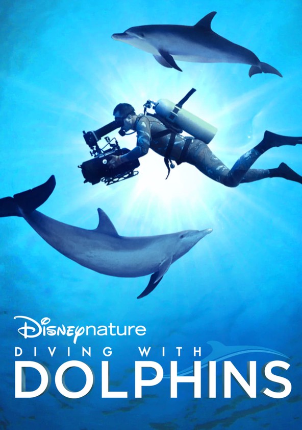 Poster of Diving with Dolphins