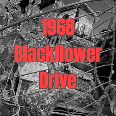 Primary photo for 1968 Blackflower Drive Primary photo for 1968 Blackflower Drive