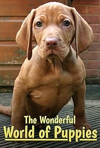 Primary photo for Puppy Smart