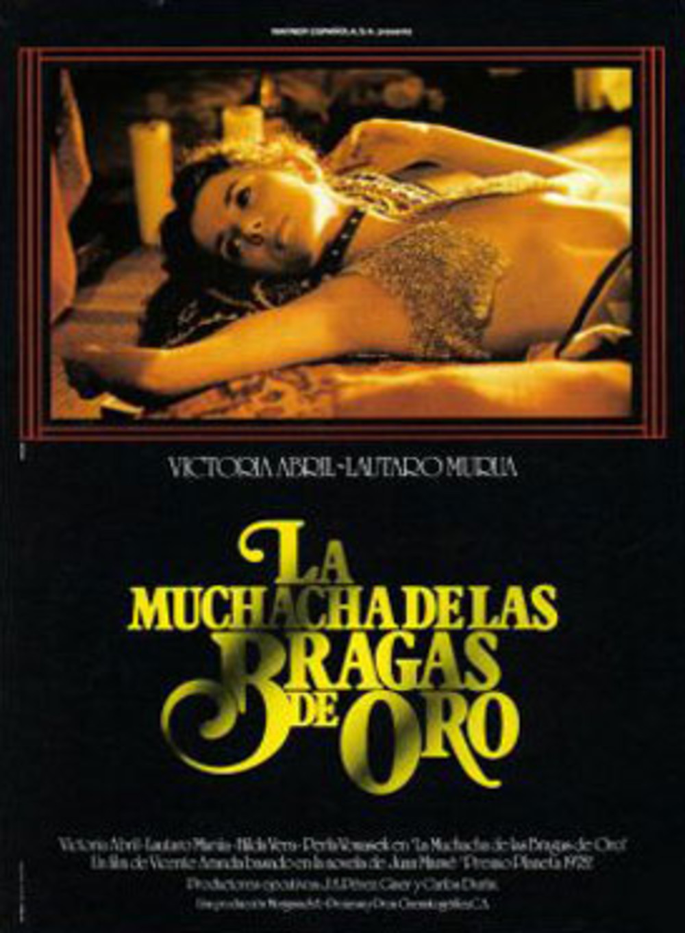 Poster of La muchacha de las bragas de oro