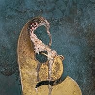 Primary photo for Ashlads: Gutta Fra Film