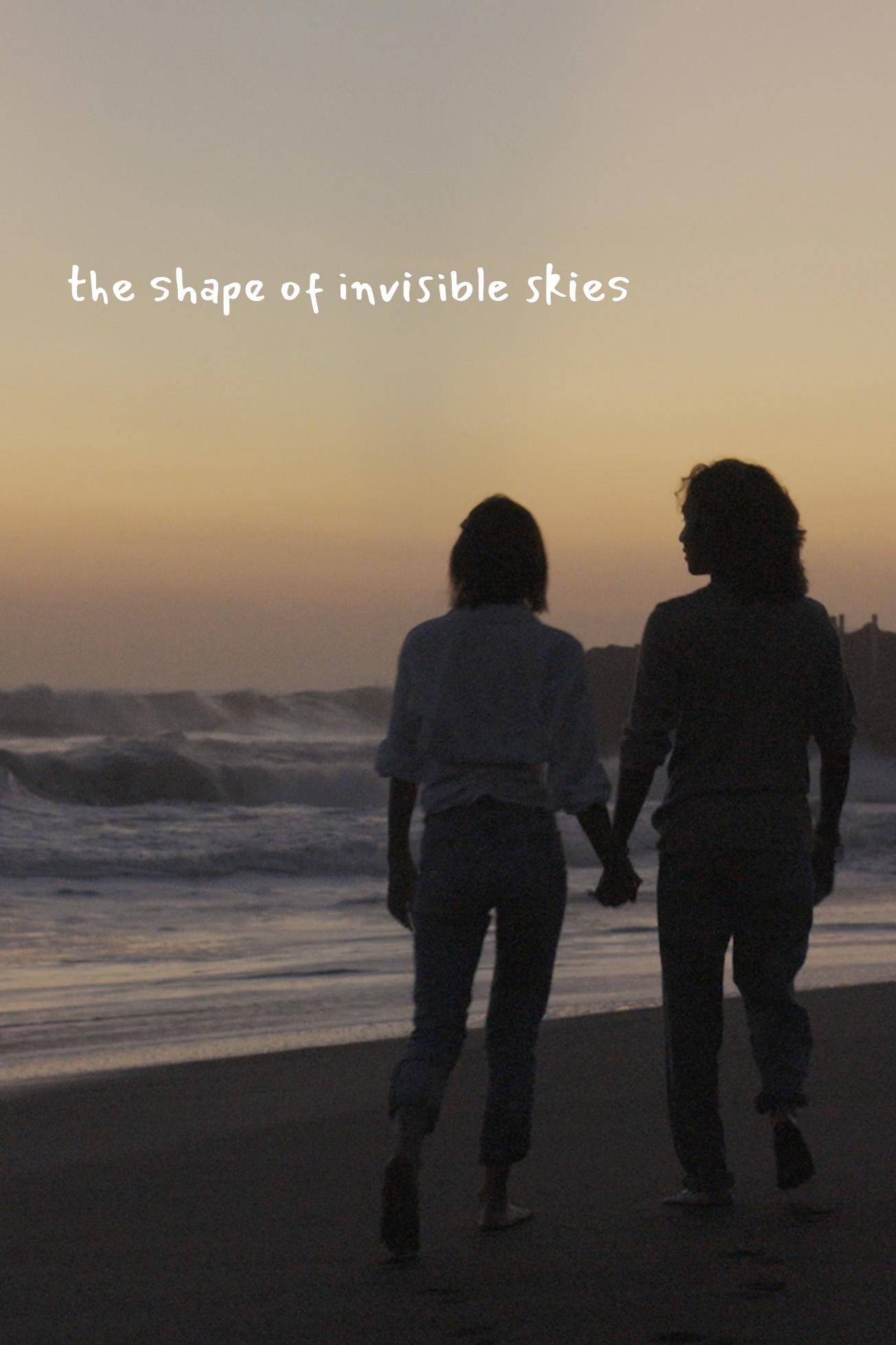 The Shape of Invisible Skies