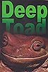 Primary photo for Deep Toad Primary photo for Deep Toad