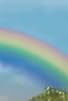 Primary photo for Gon, Wanting to Ride the Rainbow/Uru Goes on Diet Primary photo for Gon, Wanting to Ride the Rainbow/Uru Goes on Diet
