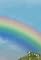 Gon, Wanting to Ride the Rainbow/Uru Goes on Diet's primary photo