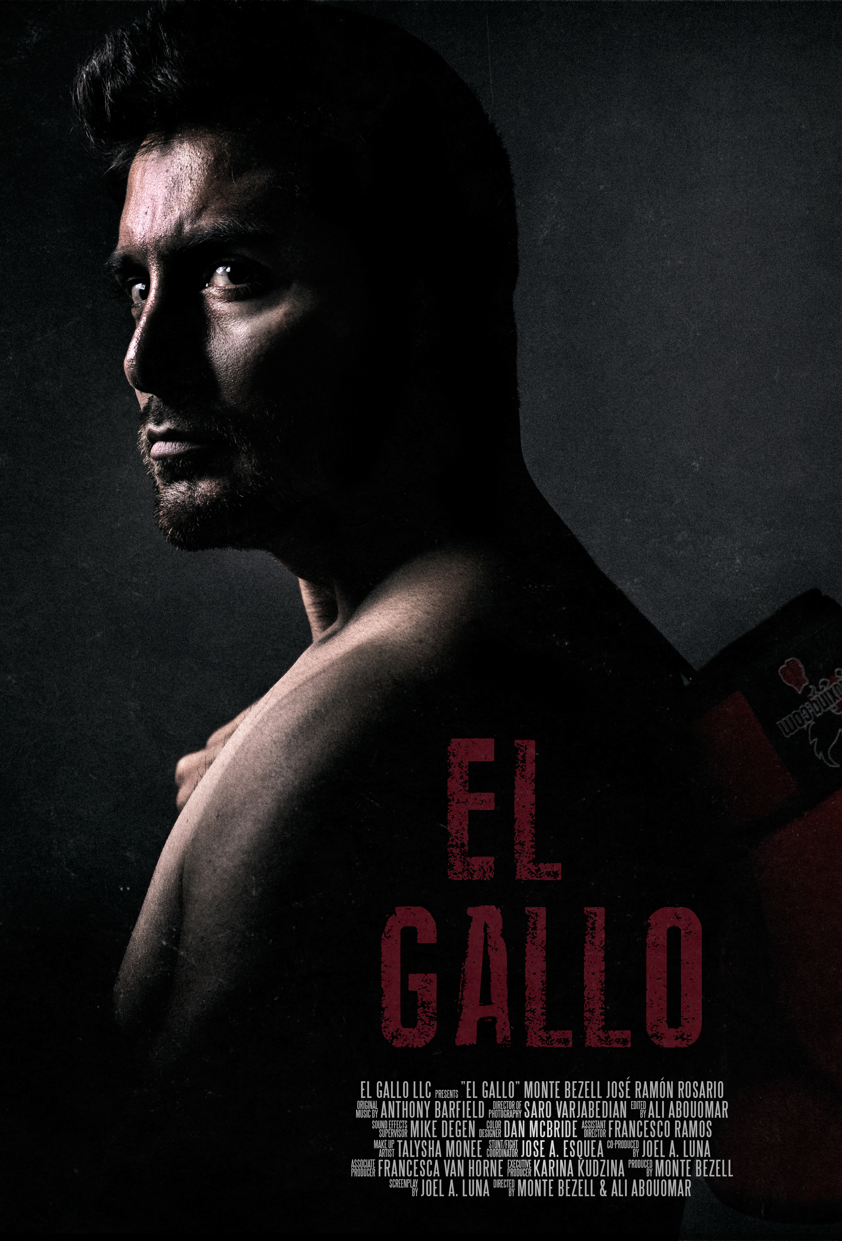 Poster of El Gallo