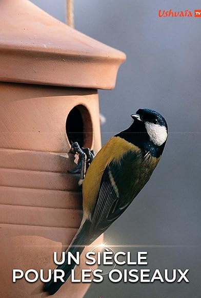 Primary photo for Un siècle pour les oiseaux Primary photo for Un siècle pour les oiseaux